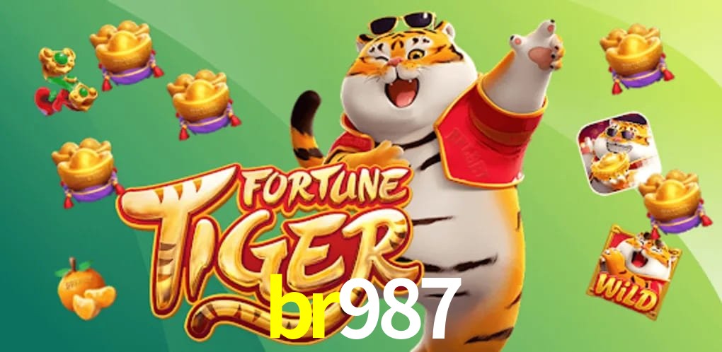 Player Reviews br987